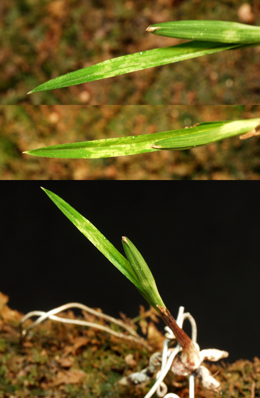 ������ ū������ �� �� �ֽ��ϴ�.