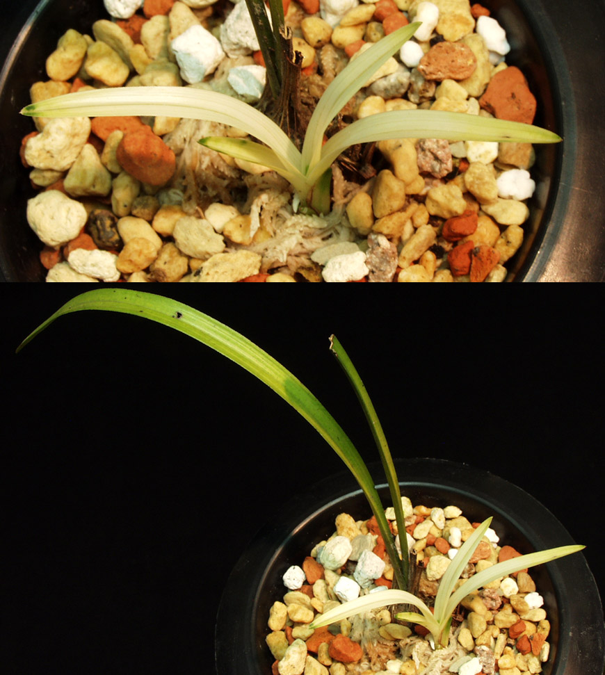 ������ ū������ �� �� �ֽ��ϴ�.