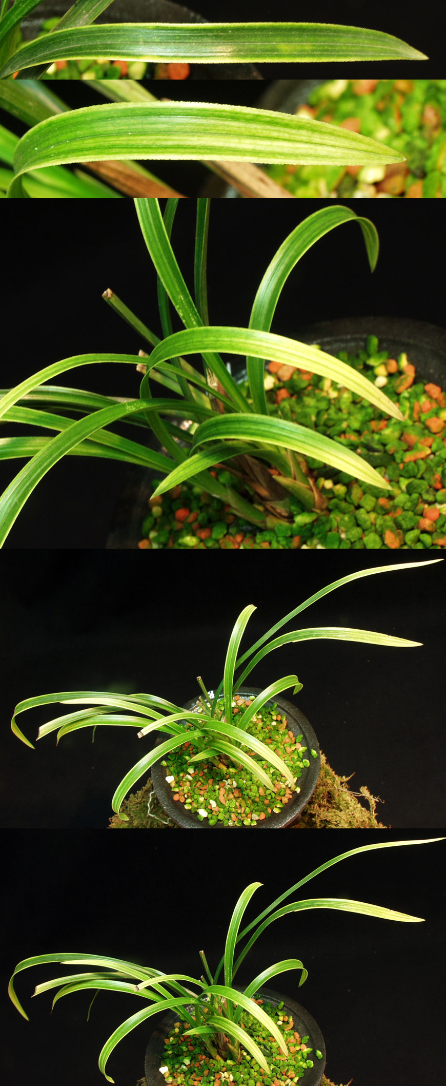 ������ ū������ �� �� �ֽ��ϴ�.