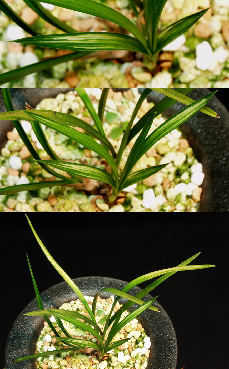 ������ ū������ �� �� �ֽ��ϴ�.