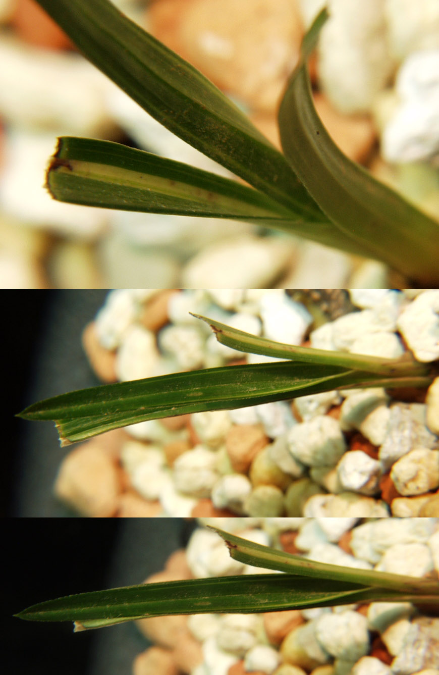 ������ ū������ �� �� �ֽ��ϴ�.