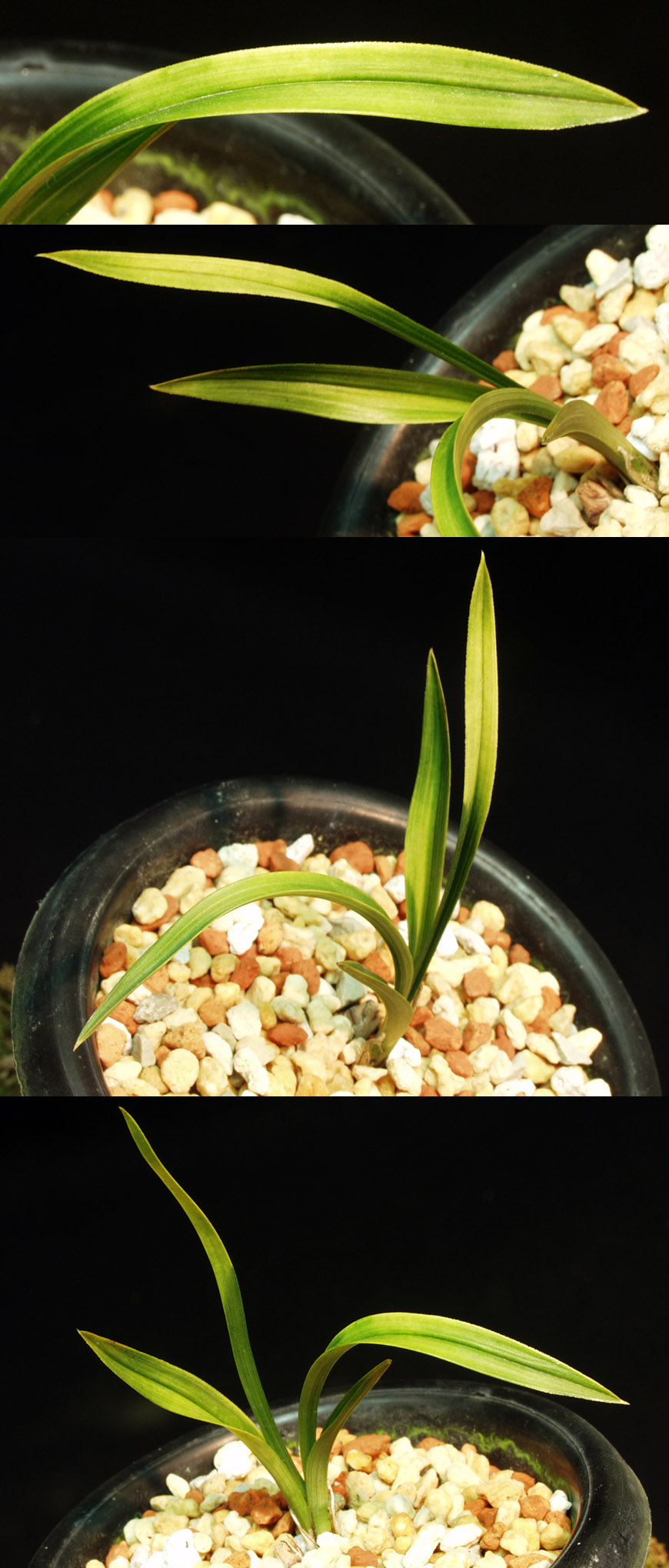 ������ ū������ �� �� �ֽ��ϴ�.