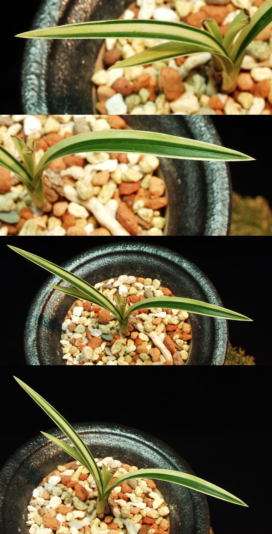 ������ ū������ �� �� �ֽ��ϴ�.