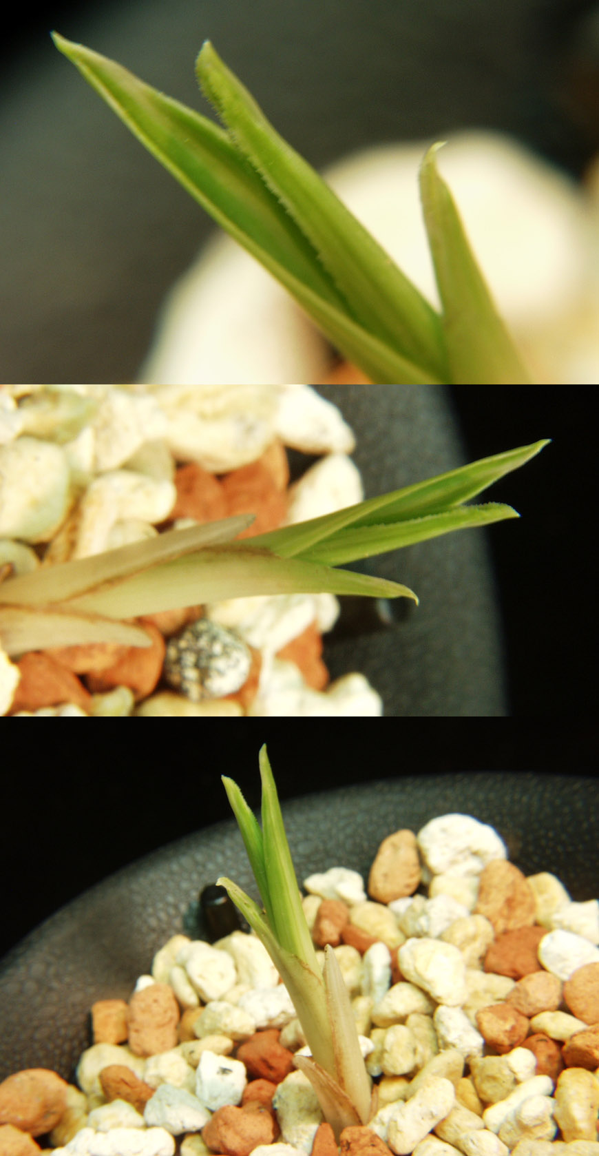 ������ ū������ �� �� �ֽ��ϴ�.