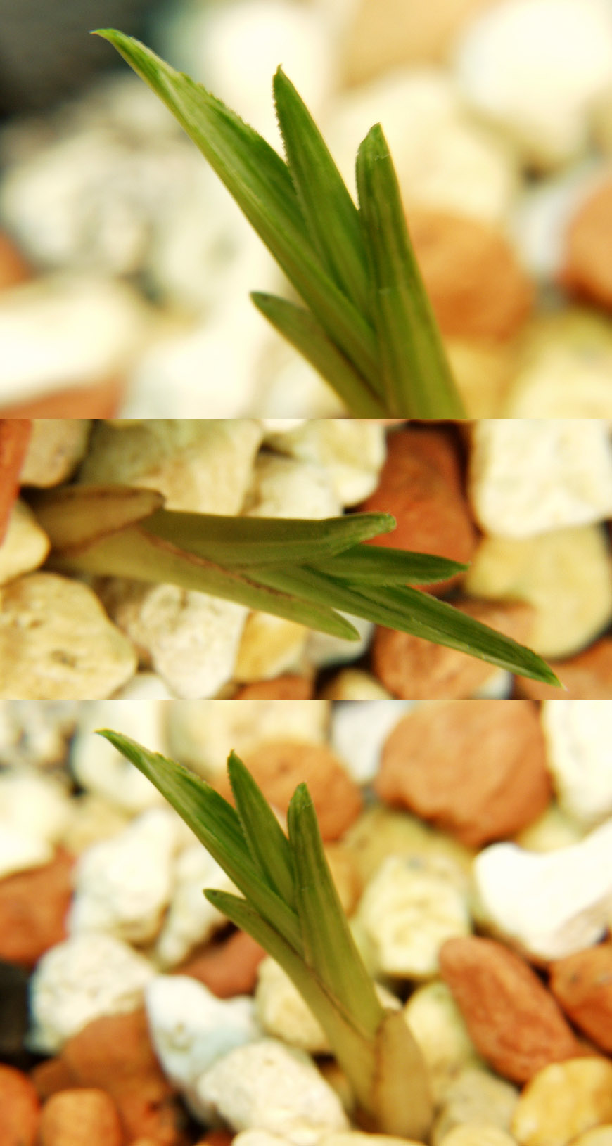 ������ ū������ �� �� �ֽ��ϴ�.