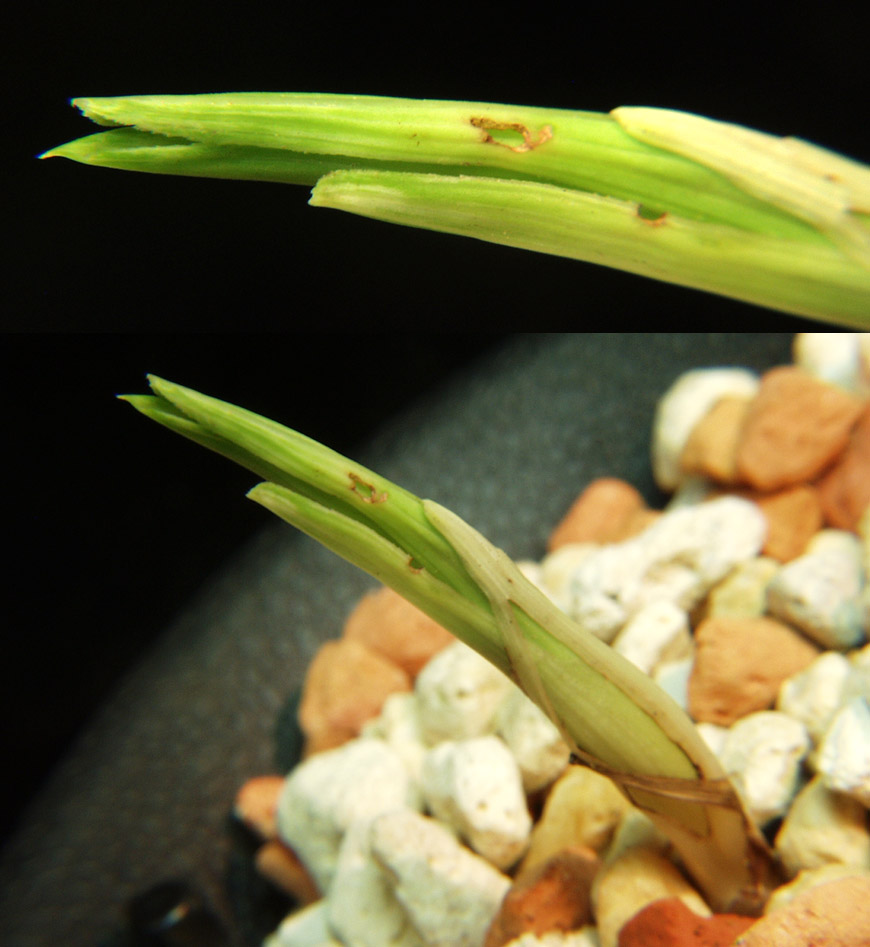 ������ ū������ �� �� �ֽ��ϴ�.