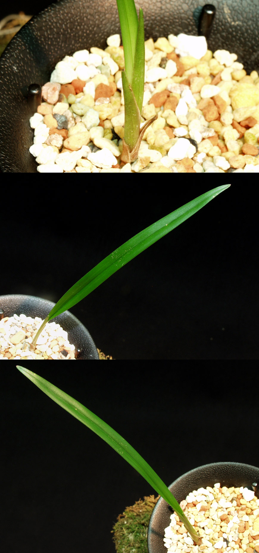 ������ ū������ �� �� �ֽ��ϴ�.