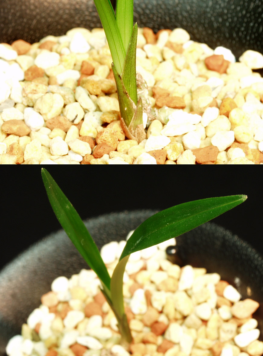 ������ ū������ �� �� �ֽ��ϴ�.