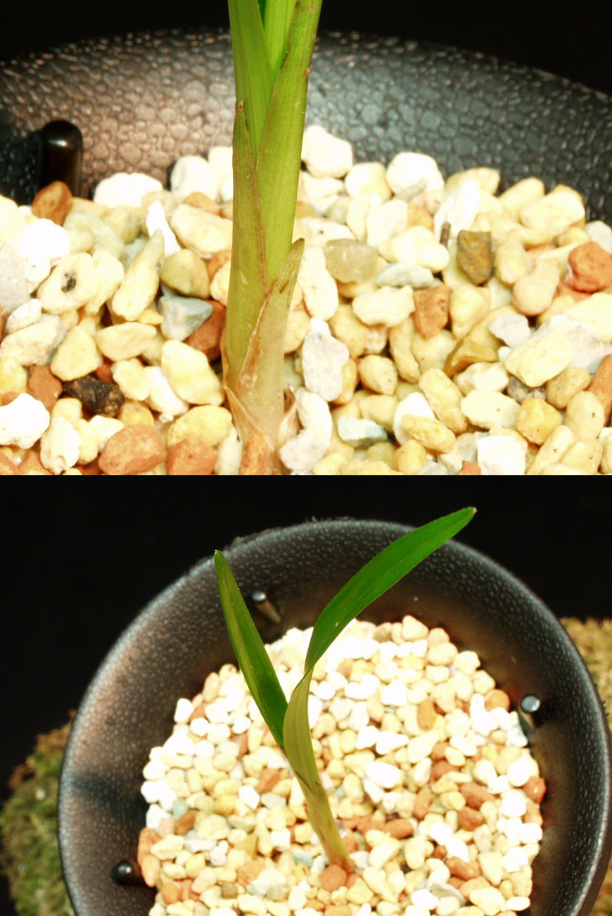 ������ ū������ �� �� �ֽ��ϴ�.