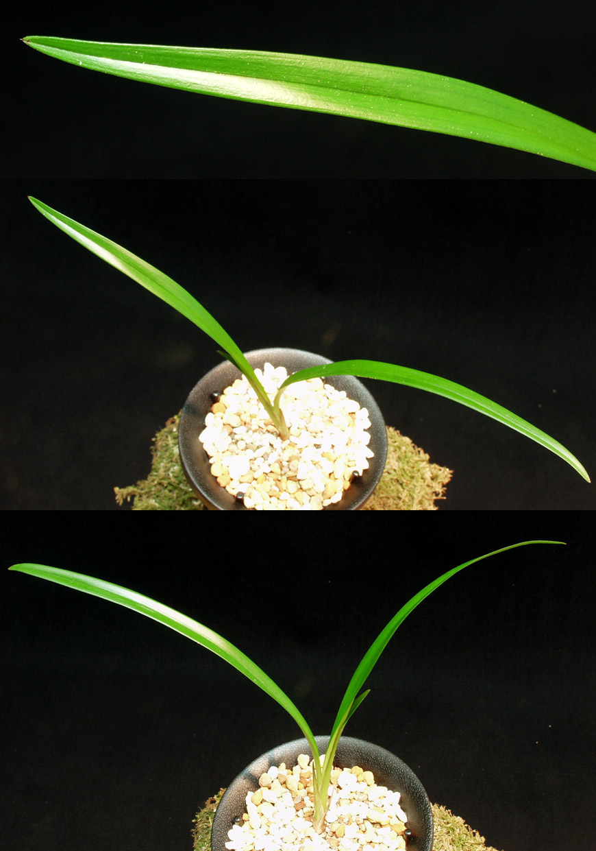 ������ ū������ �� �� �ֽ��ϴ�.