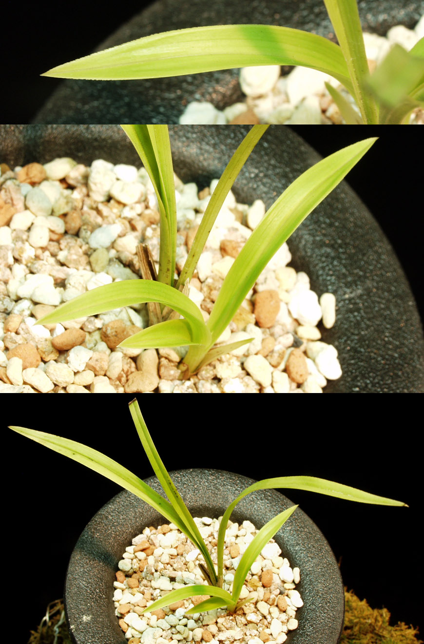 ������ ū������ �� �� �ֽ��ϴ�.