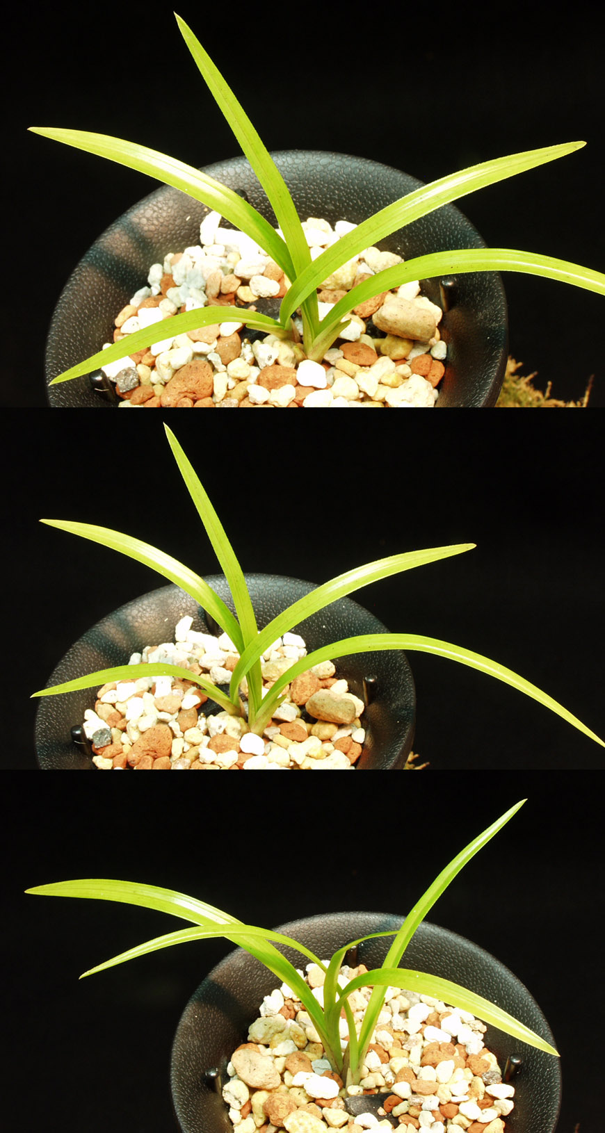 ������ ū������ �� �� �ֽ��ϴ�.