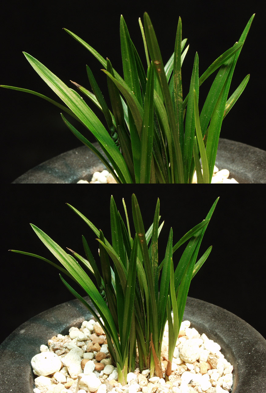 ������ ū������ �� �� �ֽ��ϴ�.