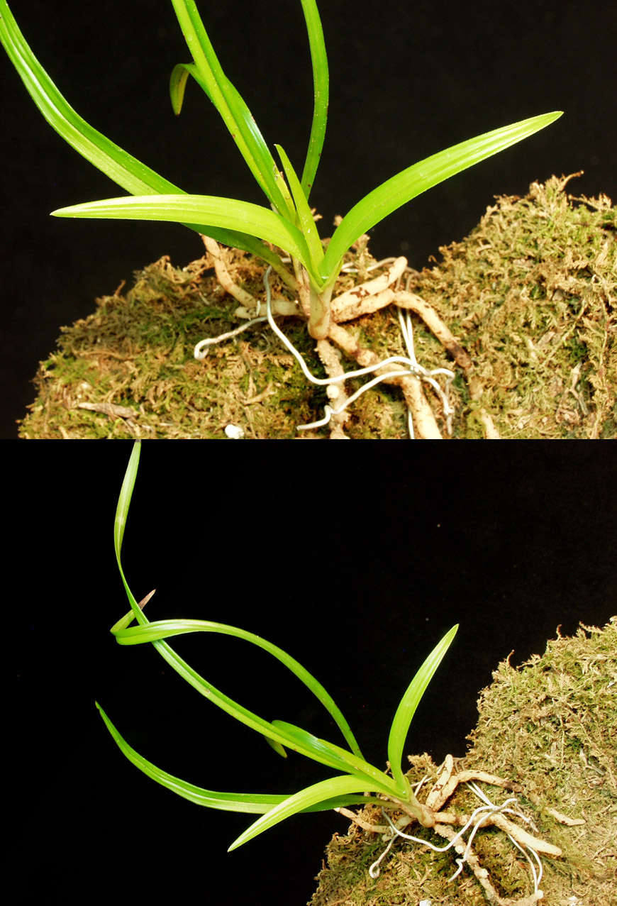 ������ ū������ �� �� �ֽ��ϴ�.