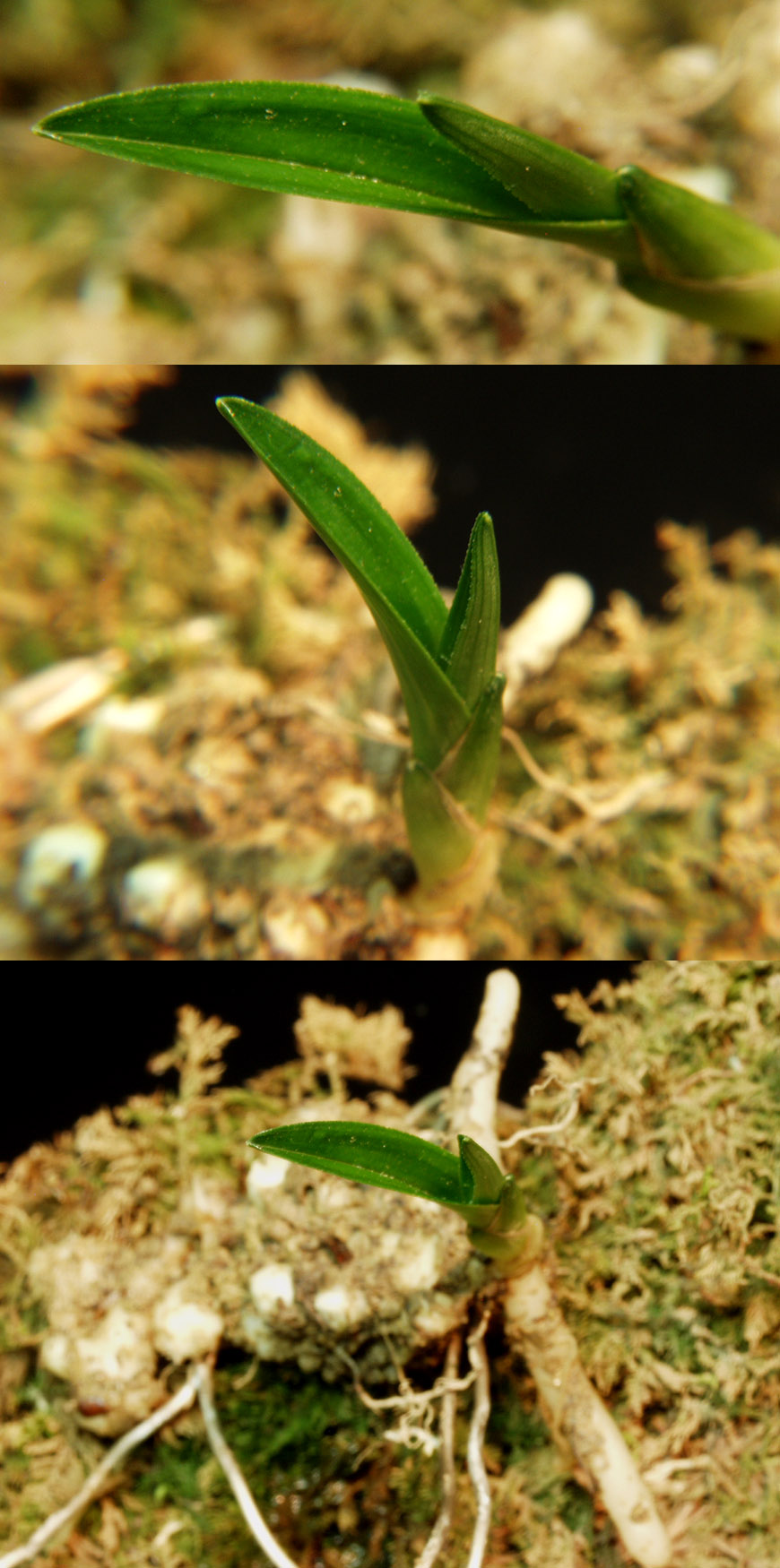 ������ ū������ �� �� �ֽ��ϴ�.