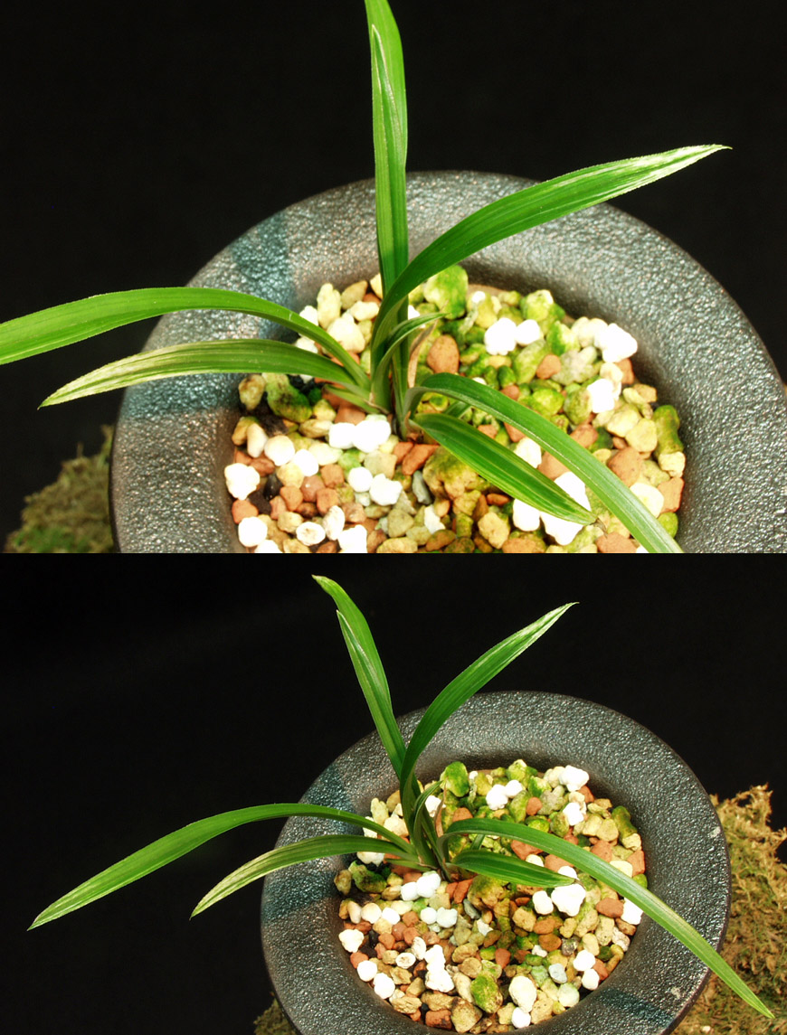 ������ ū������ �� �� �ֽ��ϴ�.