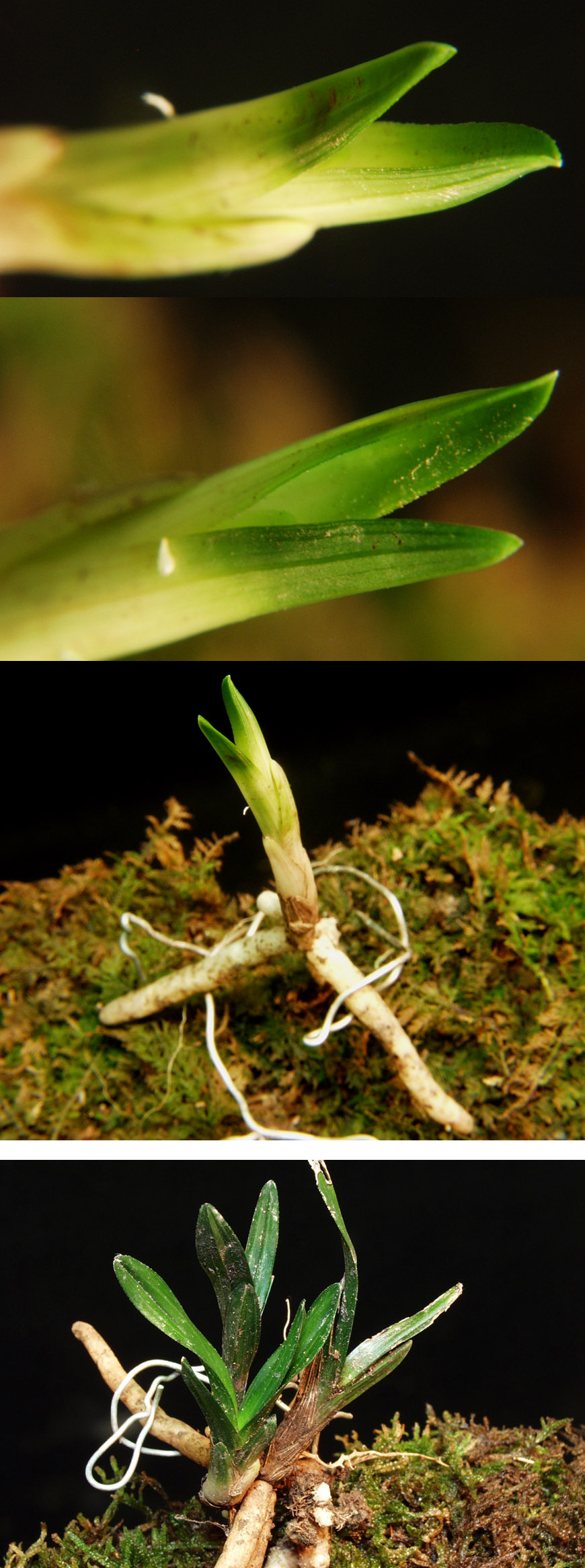 ������ ū������ �� �� �ֽ��ϴ�.