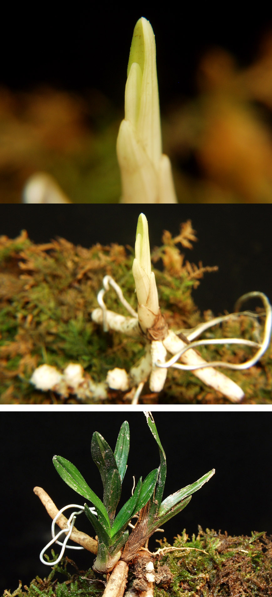 ������ ū������ �� �� �ֽ��ϴ�.