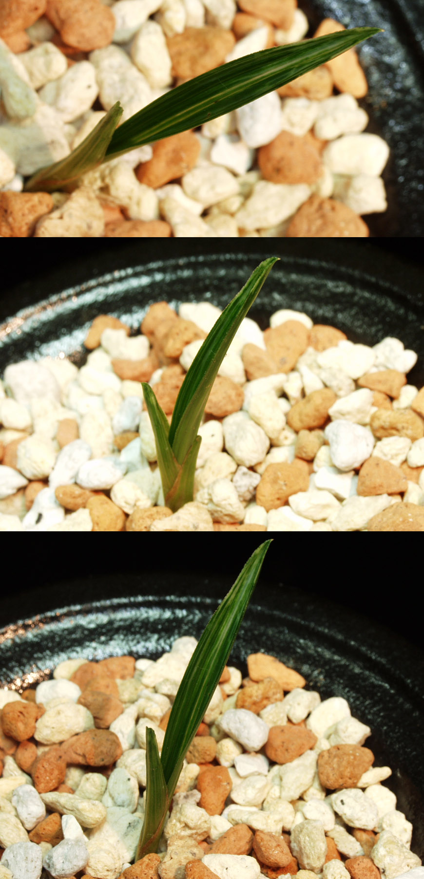 ������ ū������ �� �� �ֽ��ϴ�.