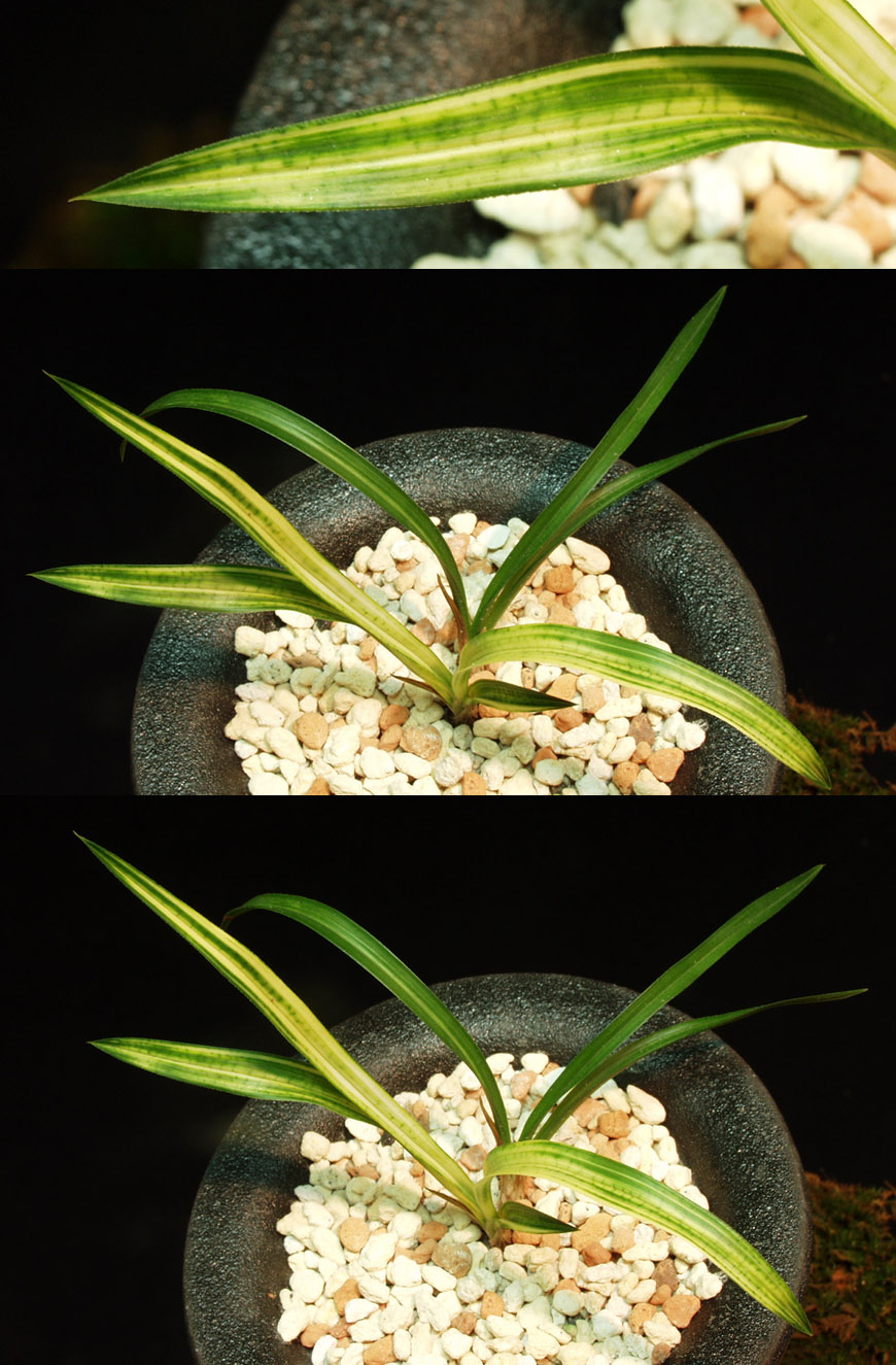 ������ ū������ �� �� �ֽ��ϴ�.