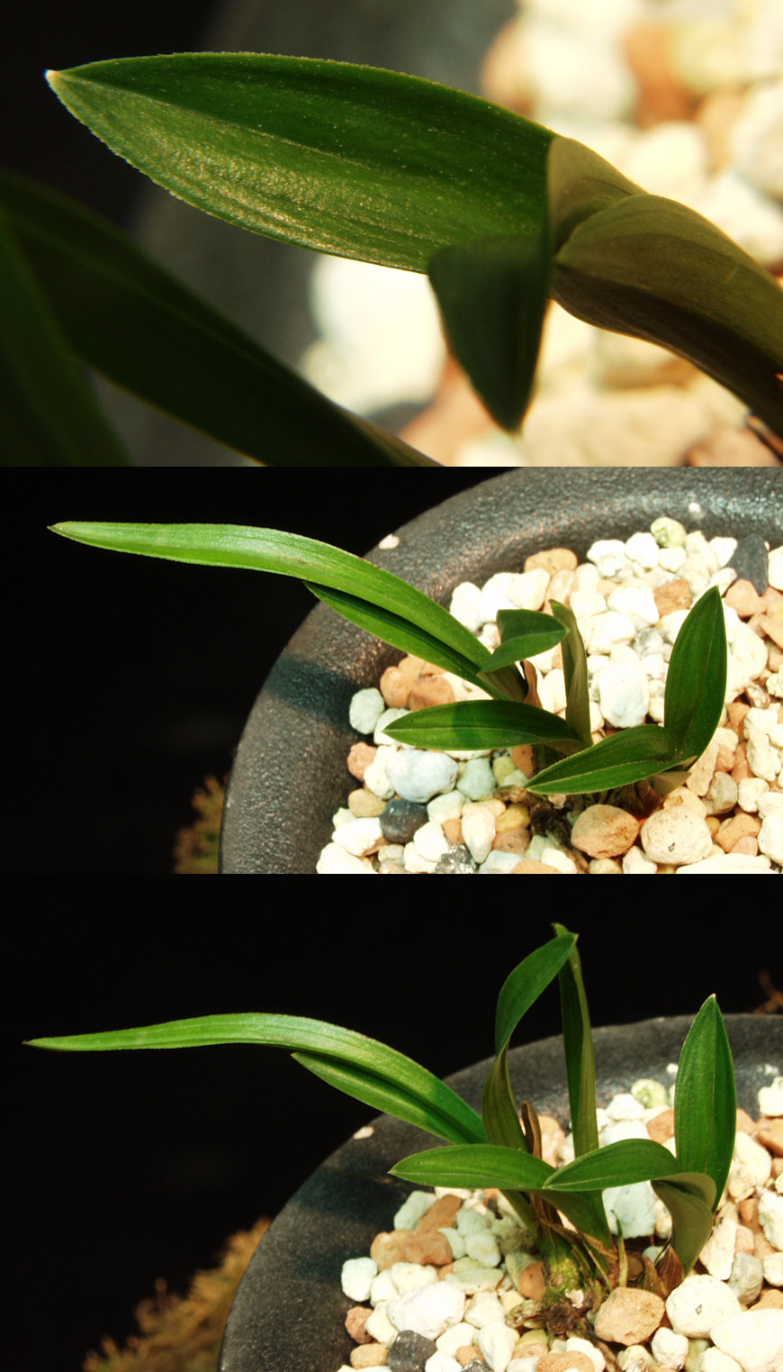 ������ ū������ �� �� �ֽ��ϴ�.