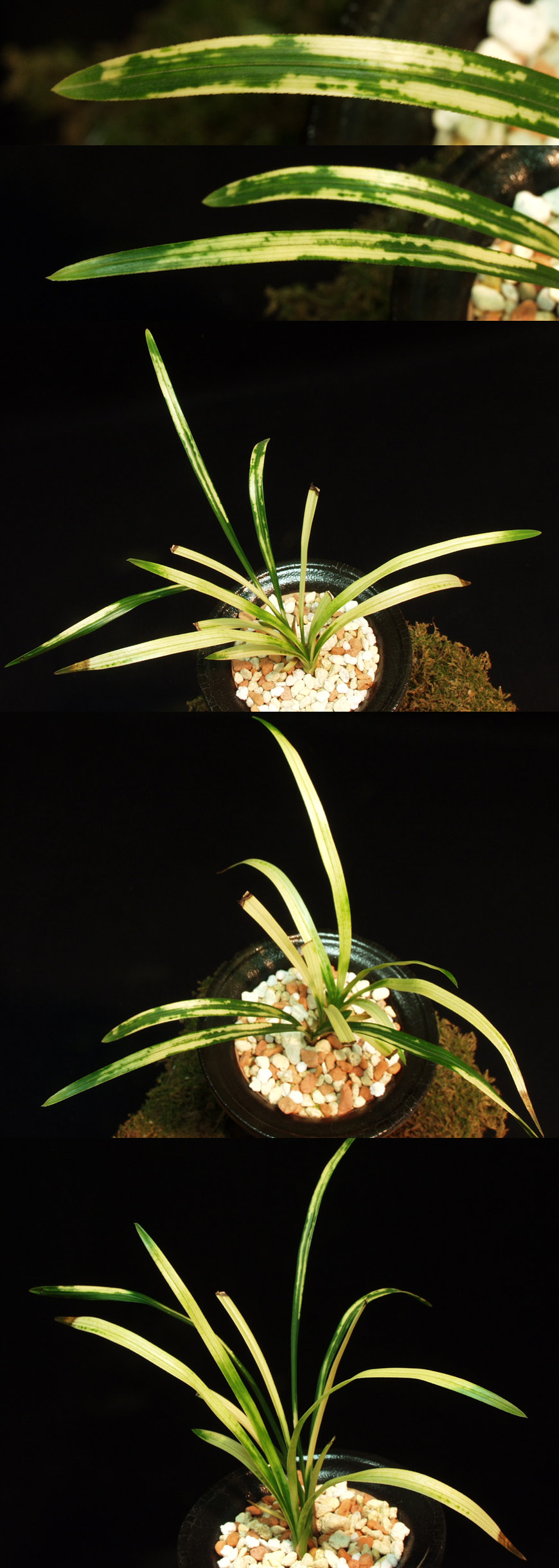 ������ ū������ �� �� �ֽ��ϴ�.