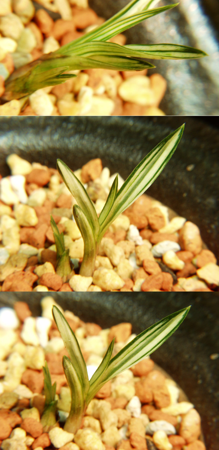 ������ ū������ �� �� �ֽ��ϴ�.