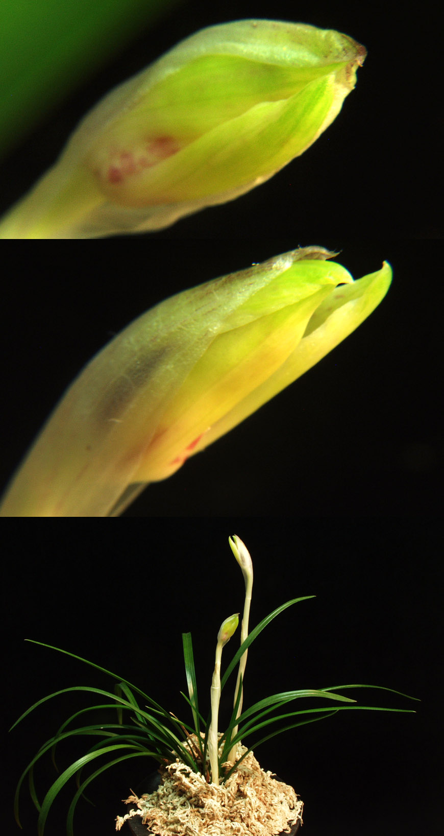 ������ ū������ �� �� �ֽ��ϴ�.