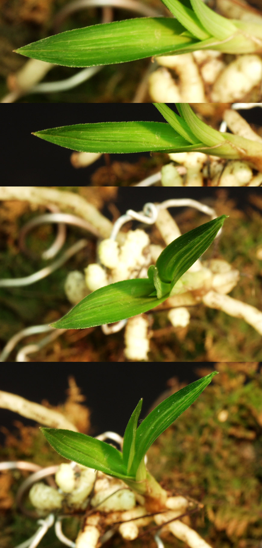 ������ ū������ �� �� �ֽ��ϴ�.