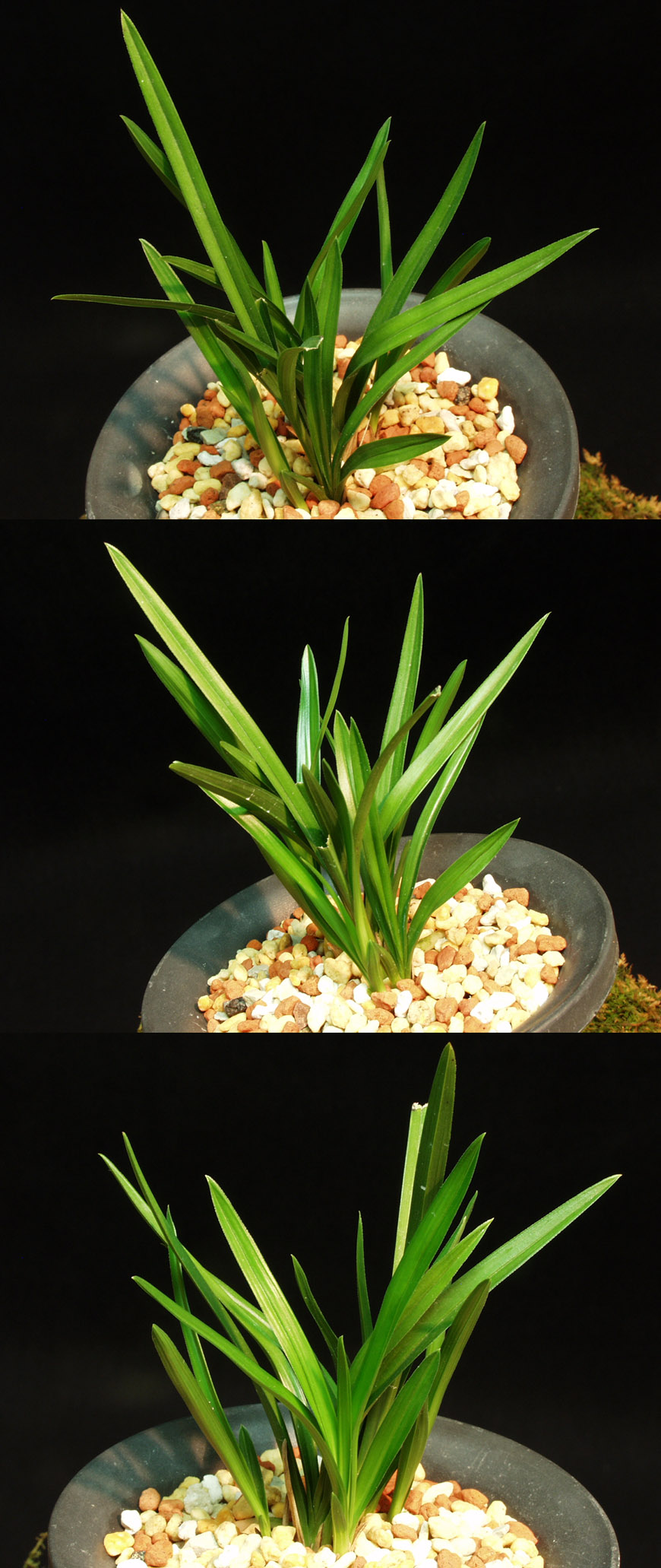 ������ ū������ �� �� �ֽ��ϴ�.