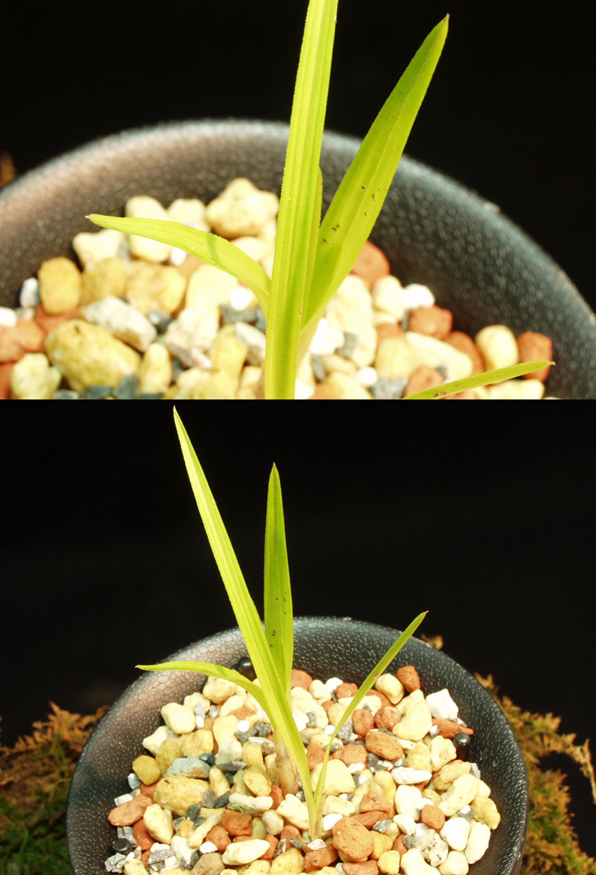 ������ ū������ �� �� �ֽ��ϴ�.