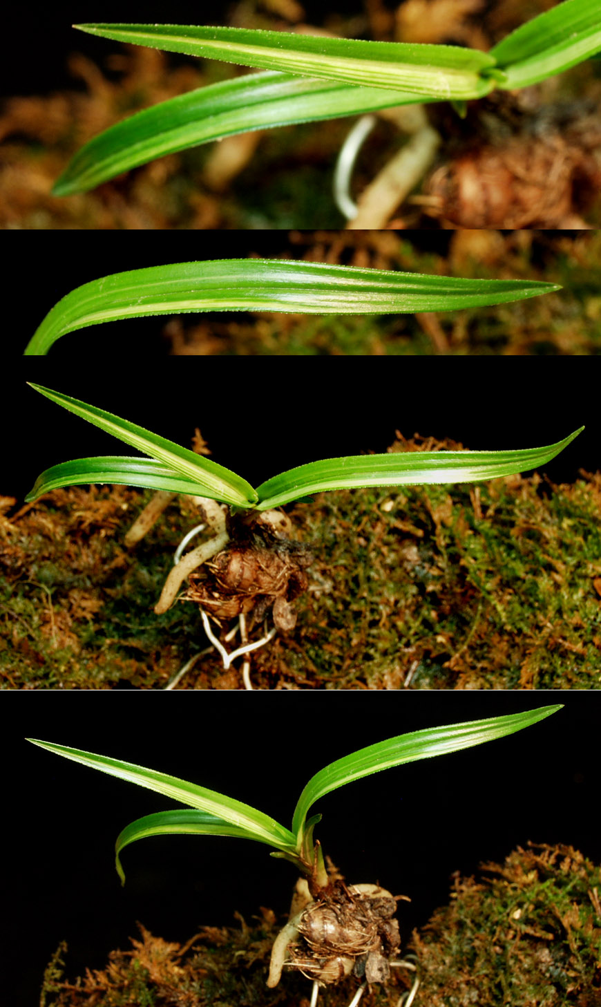 ������ ū������ �� �� �ֽ��ϴ�.