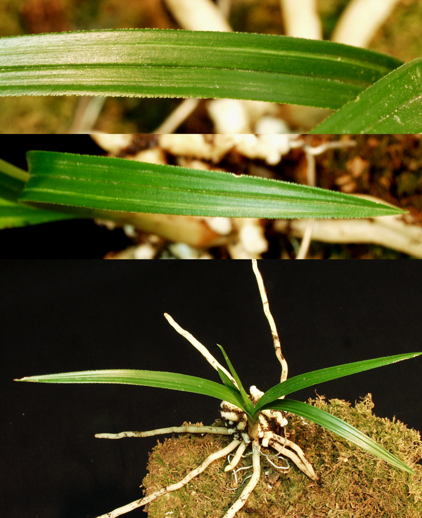 ������ ū������ �� �� �ֽ��ϴ�.