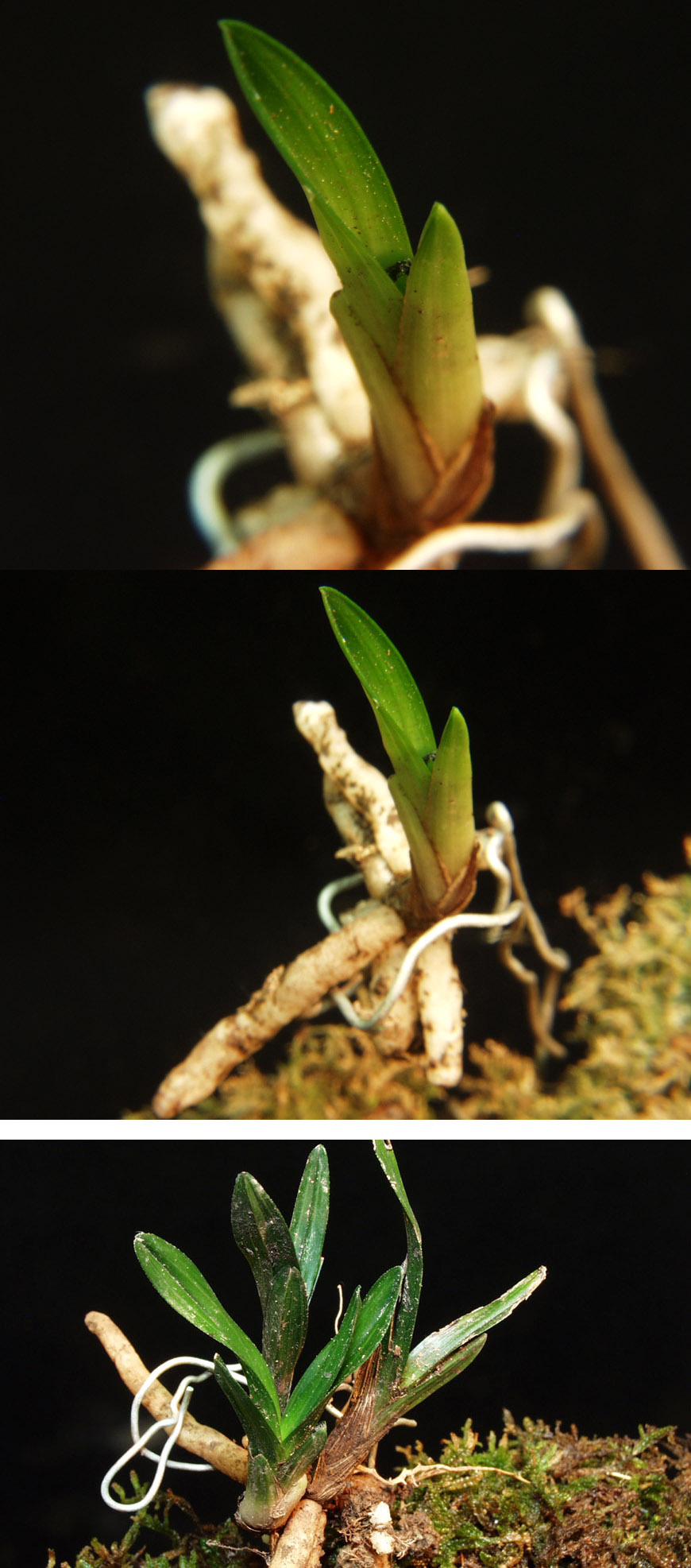 ������ ū������ �� �� �ֽ��ϴ�.