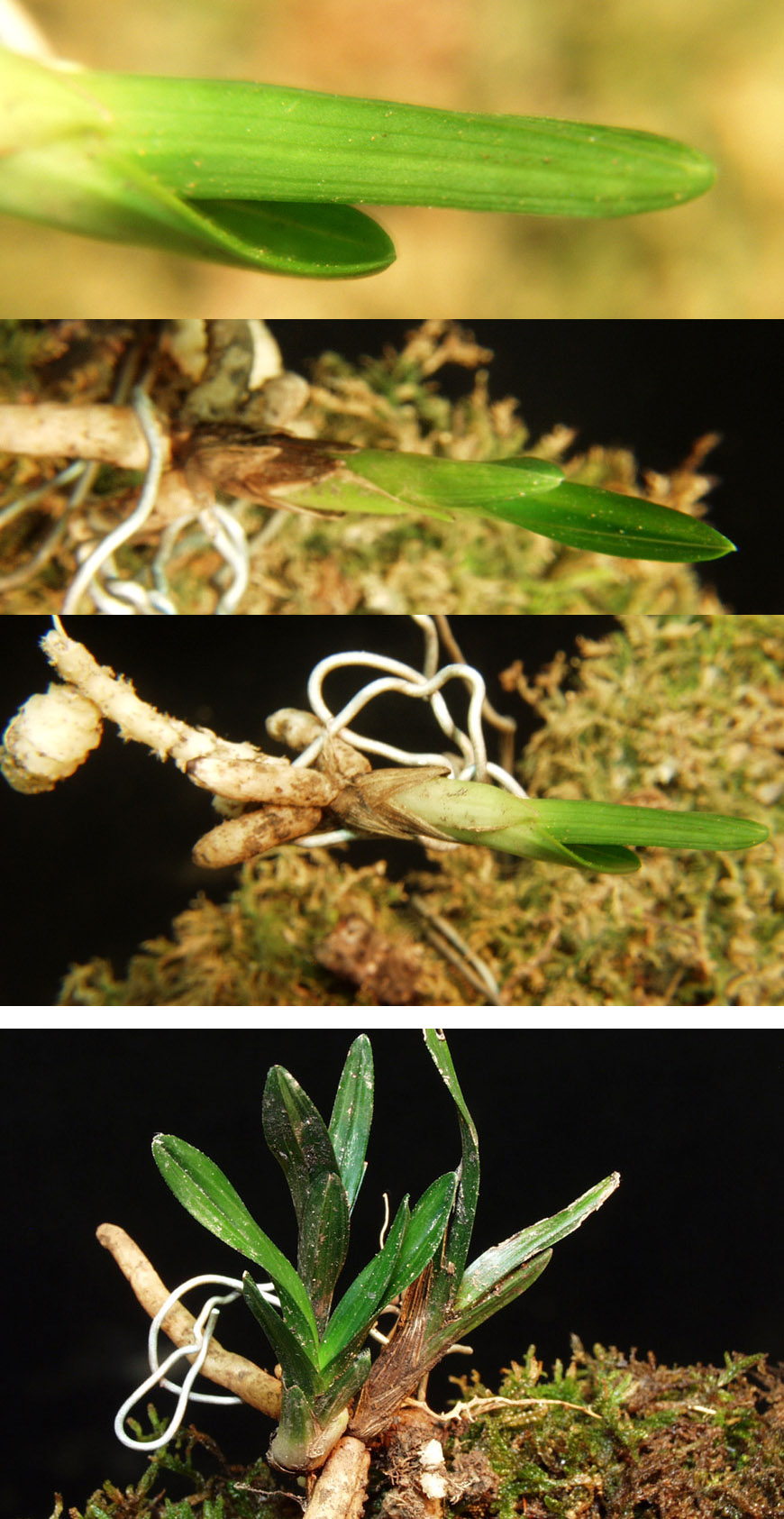 ������ ū������ �� �� �ֽ��ϴ�.