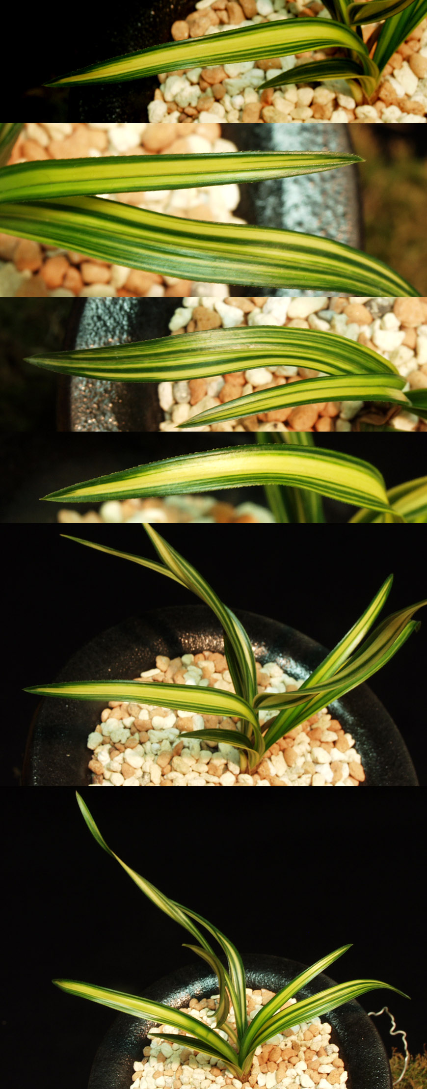 ������ ū������ �� �� �ֽ��ϴ�.