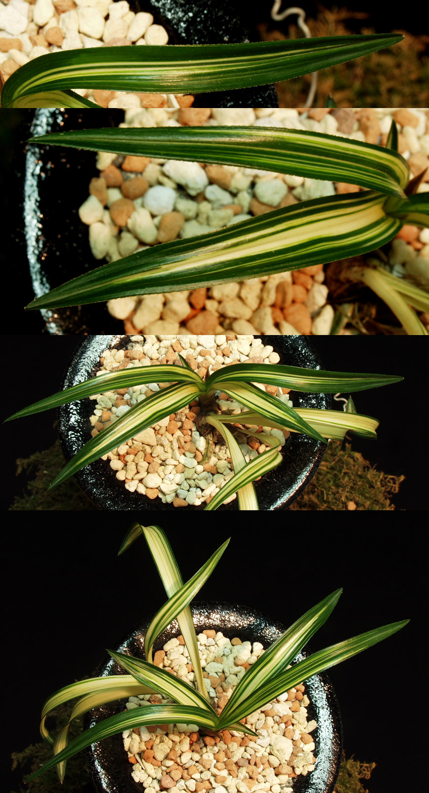 ������ ū������ �� �� �ֽ��ϴ�.