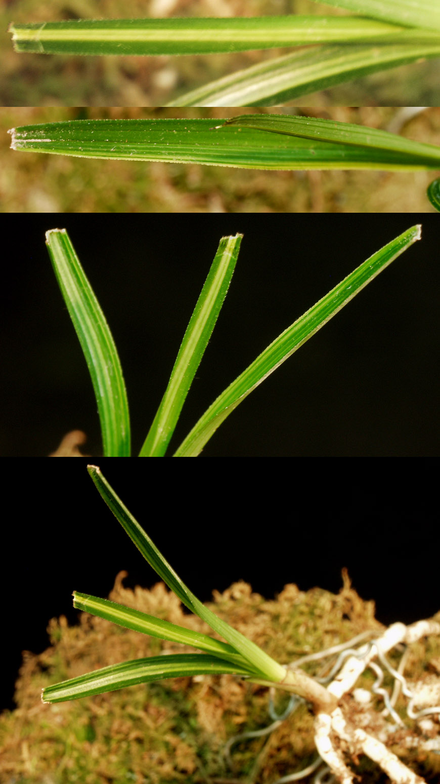 ������ ū������ �� �� �ֽ��ϴ�.