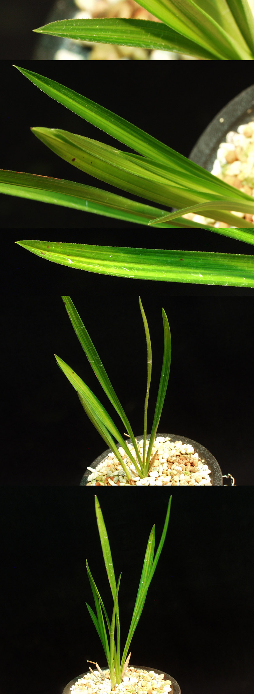 ������ ū������ �� �� �ֽ��ϴ�.