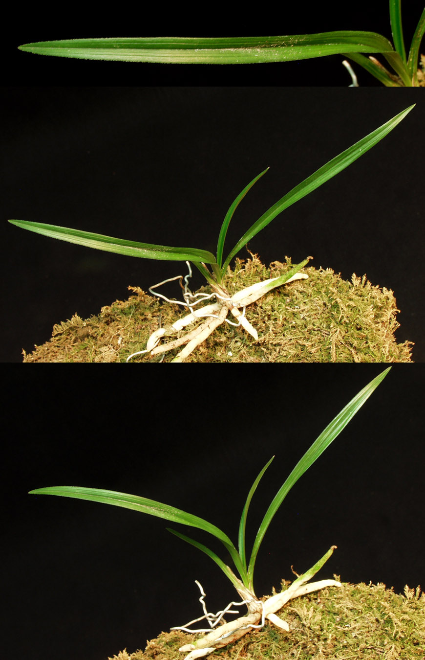 ������ ū������ �� �� �ֽ��ϴ�.