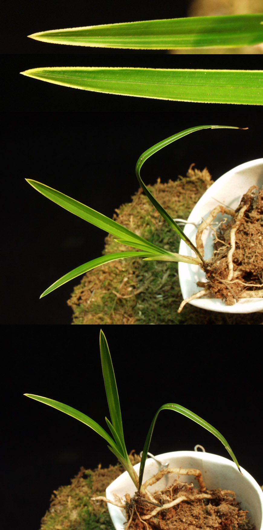 ������ ū������ �� �� �ֽ��ϴ�.