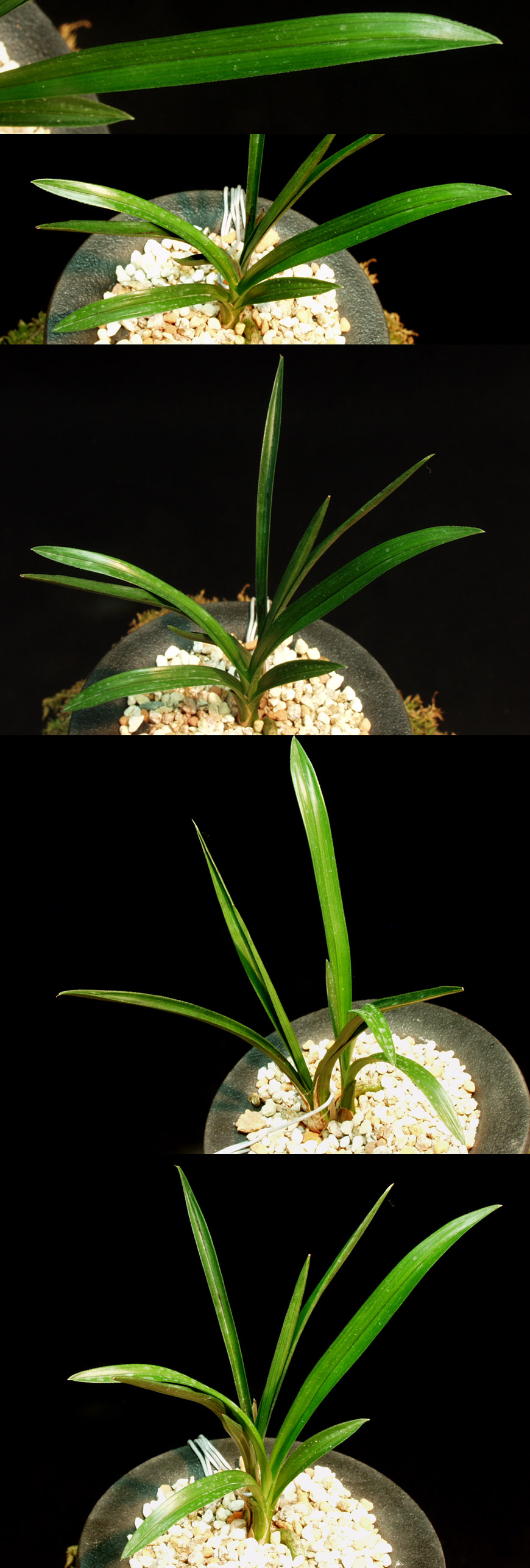 ������ ū������ �� �� �ֽ��ϴ�.