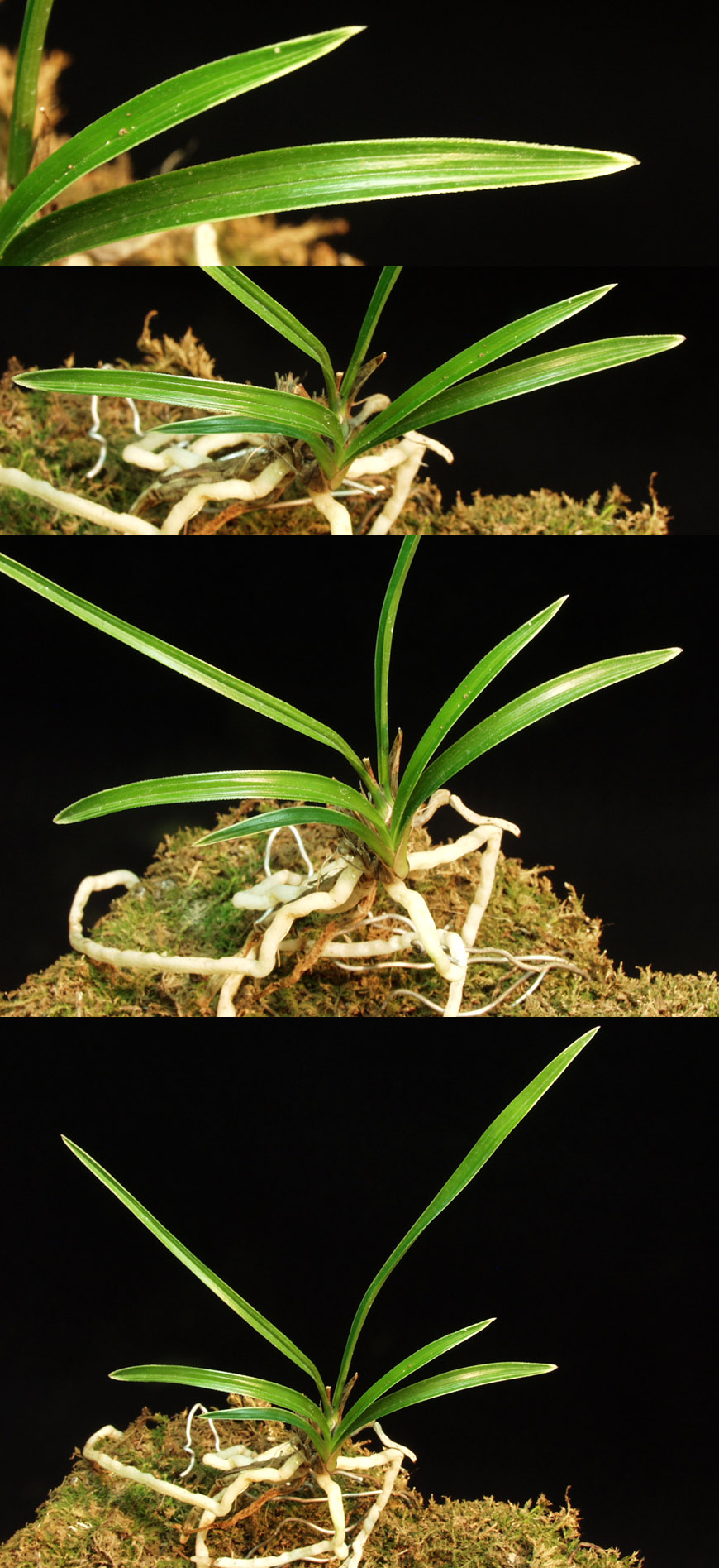 ������ ū������ �� �� �ֽ��ϴ�.