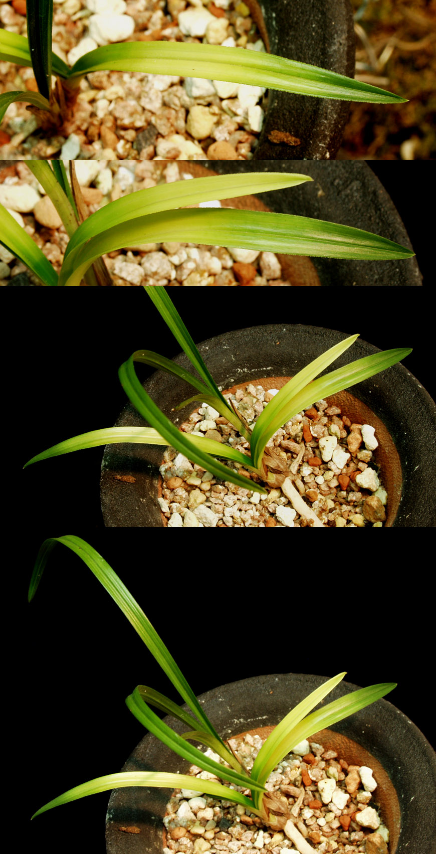 ������ ū������ �� �� �ֽ��ϴ�.