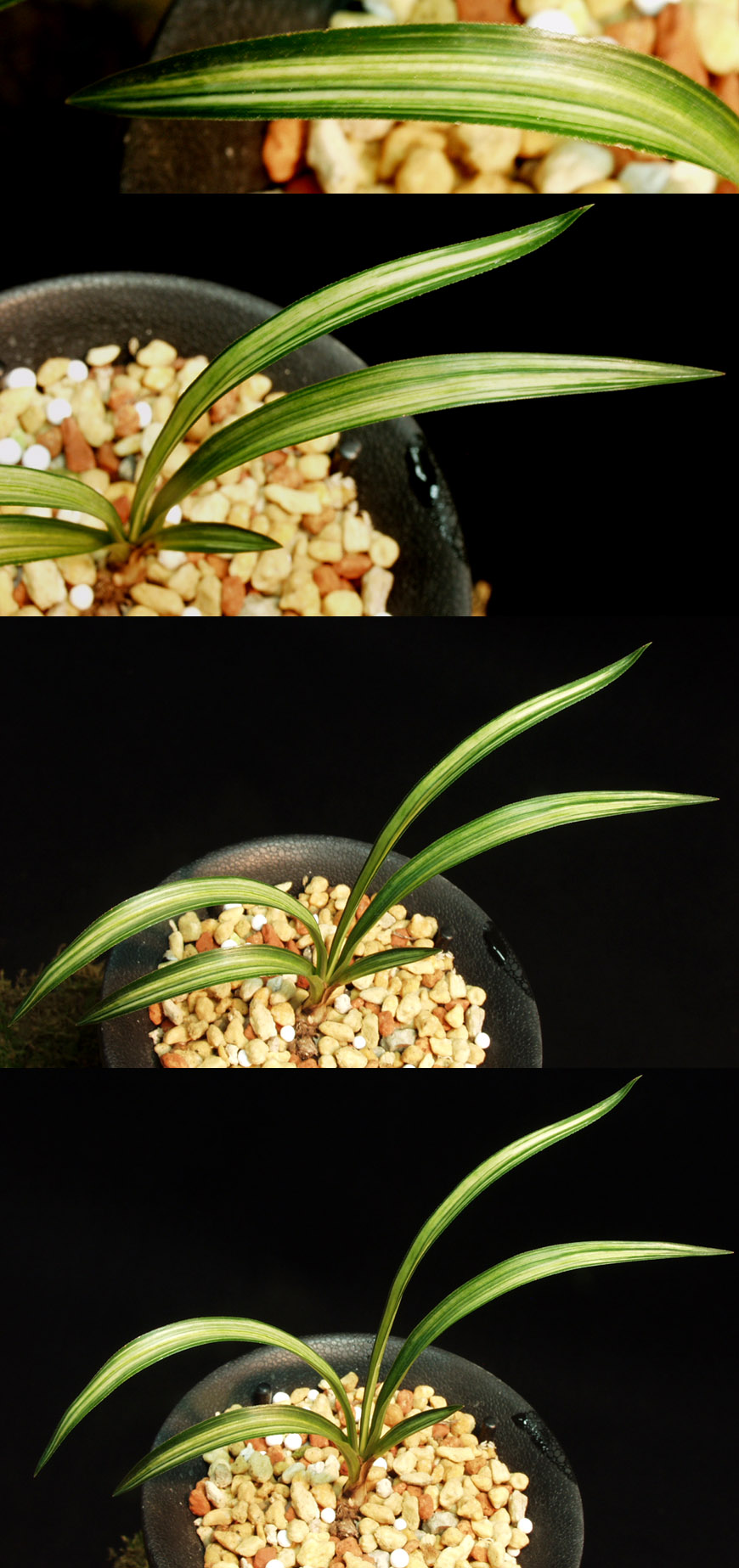 ������ ū������ �� �� �ֽ��ϴ�.