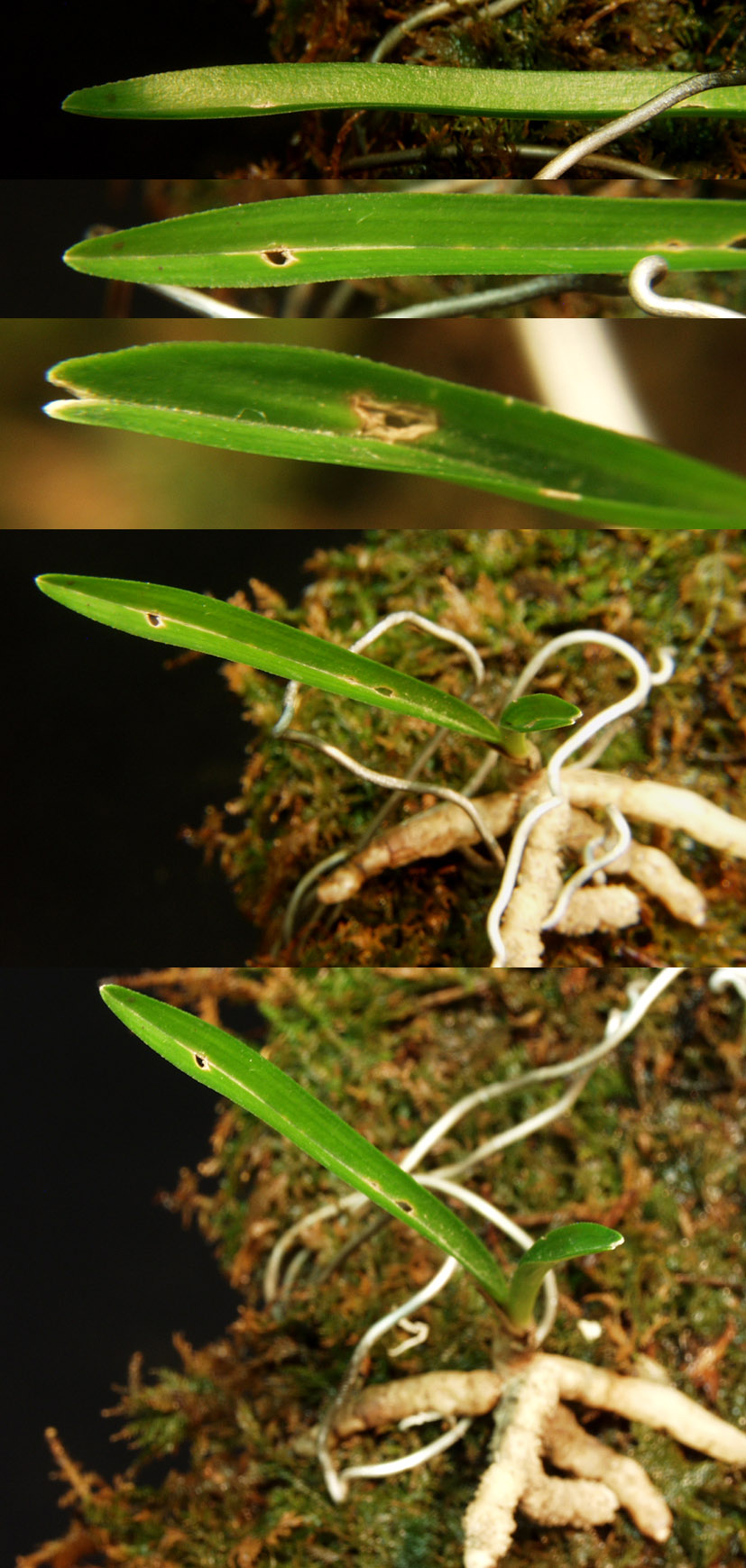 ������ ū������ �� �� �ֽ��ϴ�.