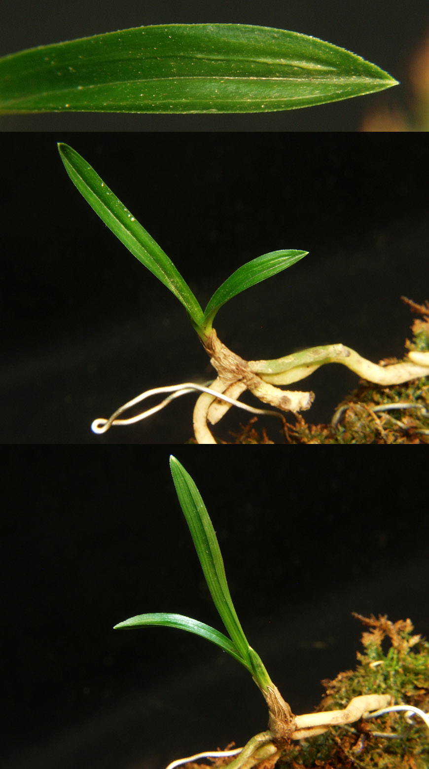 ������ ū������ �� �� �ֽ��ϴ�.