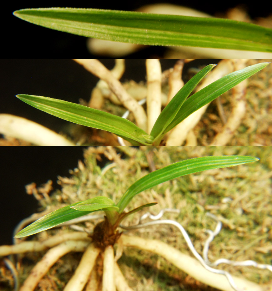 ������ ū������ �� �� �ֽ��ϴ�.