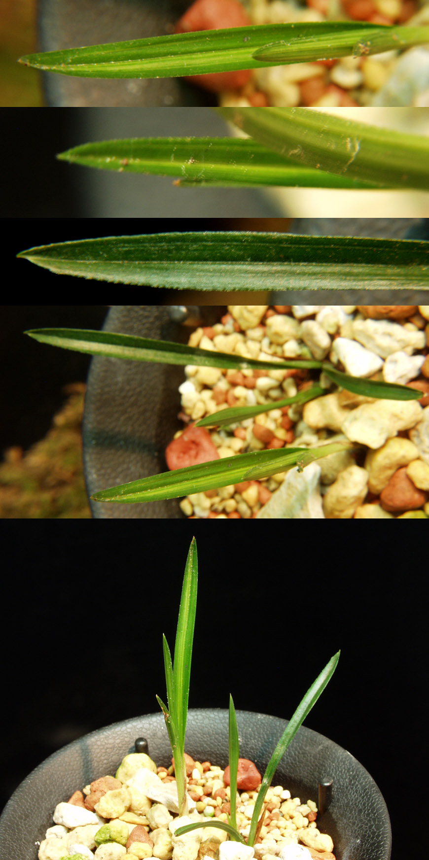 ������ ū������ �� �� �ֽ��ϴ�.