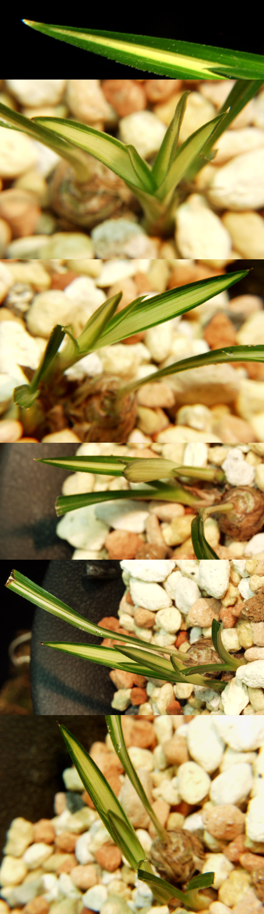 ������ ū������ �� �� �ֽ��ϴ�.